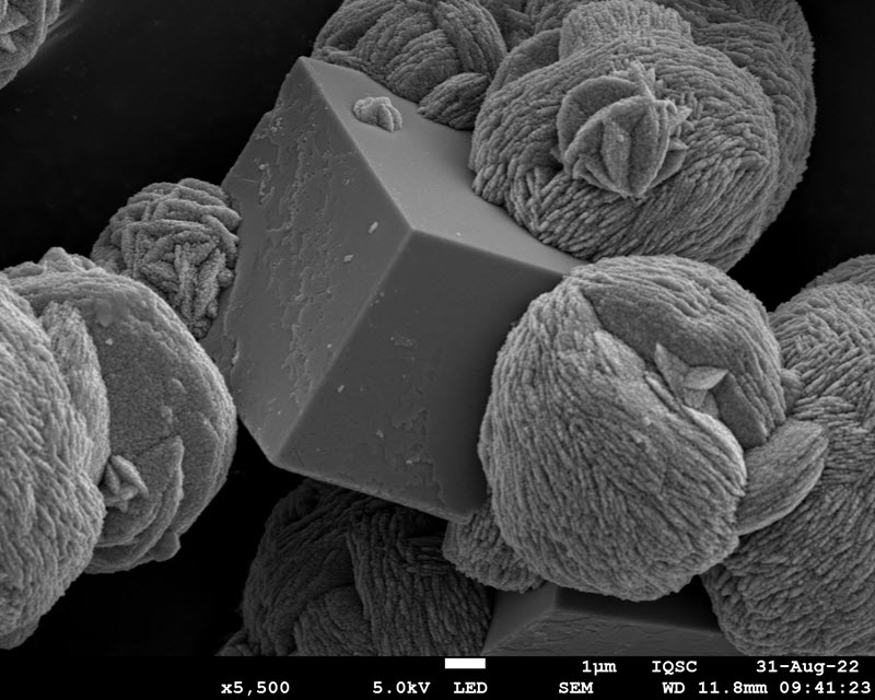 TITLE: Magic Cube with Wool; SUBJECT: different geometric shapes of calcium carbonate, chemical reaction with clay; CREDIT: Marcio de Paula, São Paulo University (IQSC/USP); METHOD/INSTRUMENT: JEOL JSM 7200F