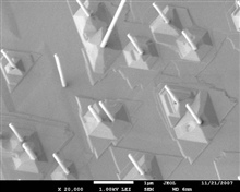 Nanotubes - Full Field of View (FOV)