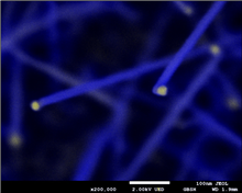 SnO2 nanowires
