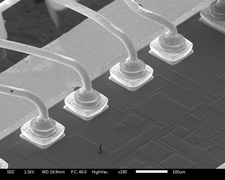 Ic Process Sem JSM-IT510 SEM Series | Analytical SEM | SEM Imaging