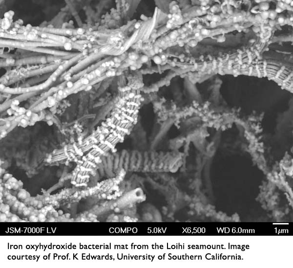 SEM | TEM | Mass Spectrometers | NMR | Materials Science