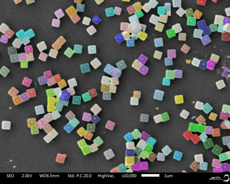 Particle Analysis.jpg