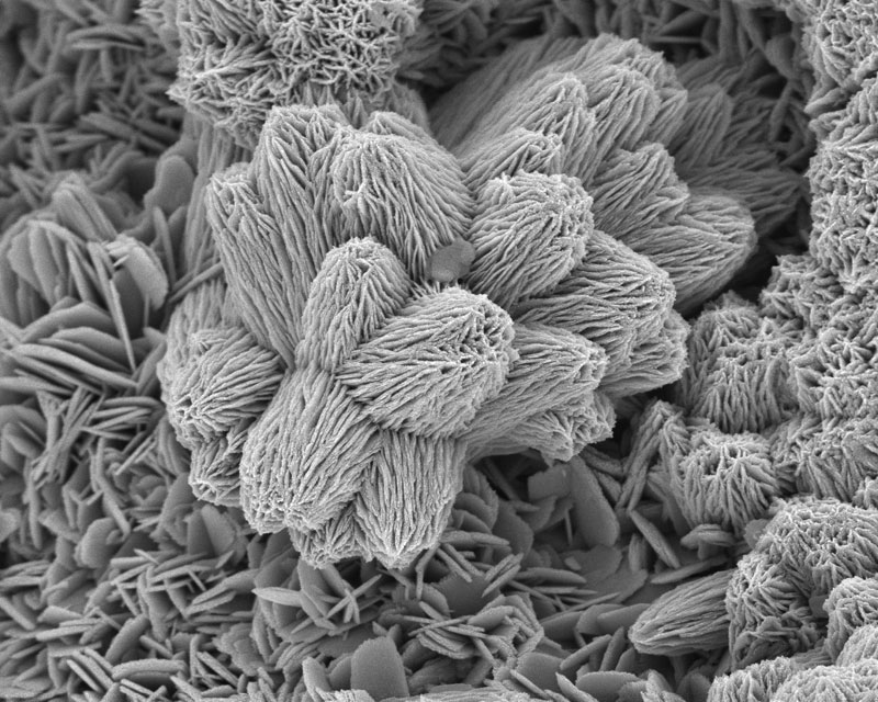 Electron Microscope | Mass Spectrometry | Failure Analysis