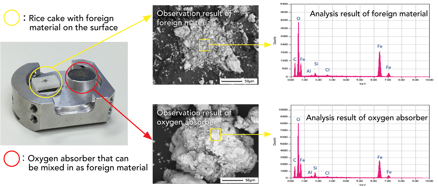 Visual confirmation of foreign materials and pinpoint elemental analysis are the key features.