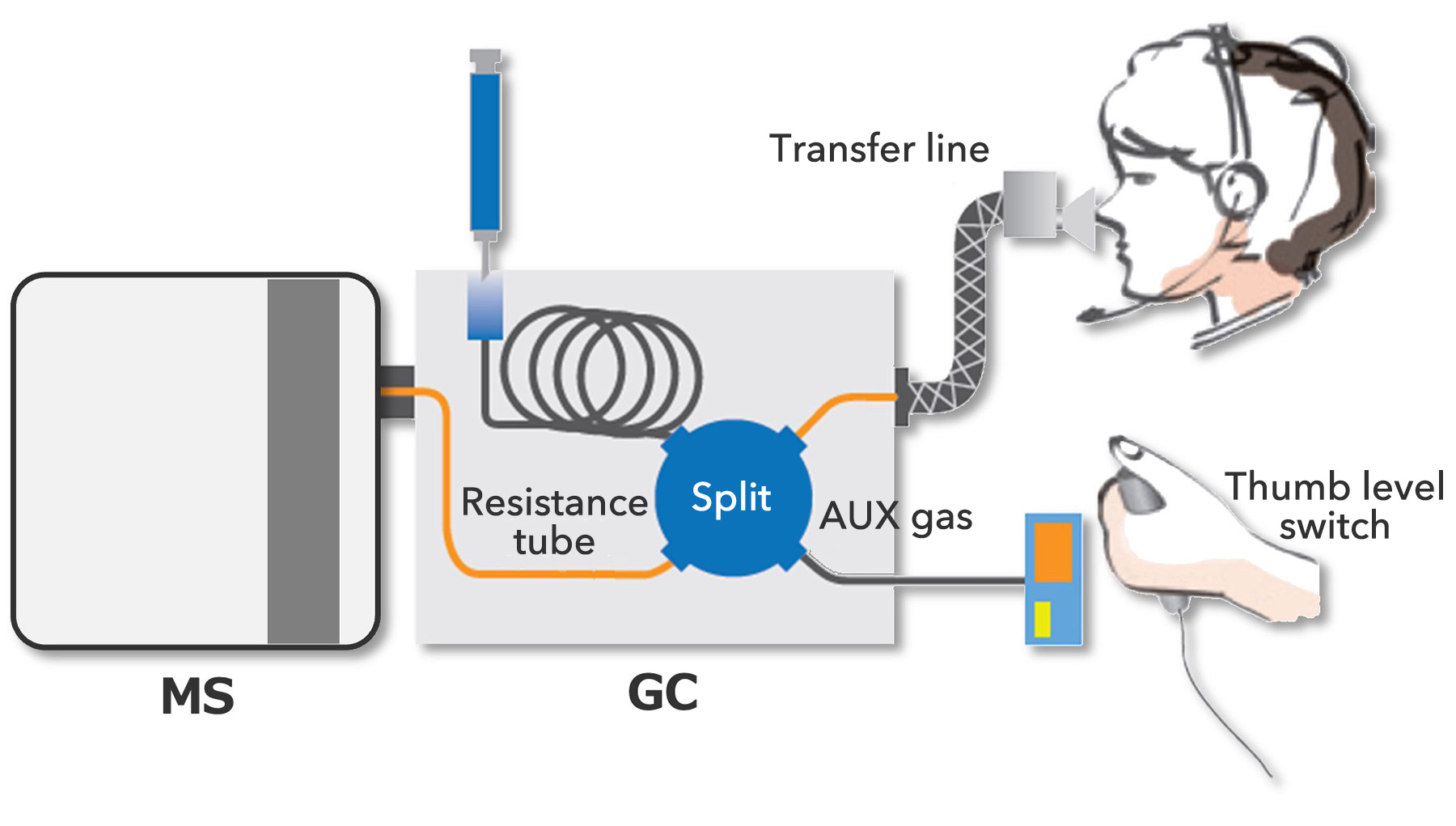 Sniffing-GC-MS is an instrument combining a sniffing analysis method (a sensory evaluation method) and MS (mass spectrometry) of components separated with GC simultaneously.