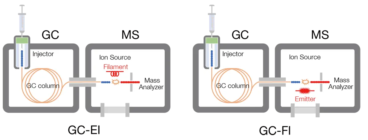 GC Separation with EI (Electron Ionization) and Soft Ionization