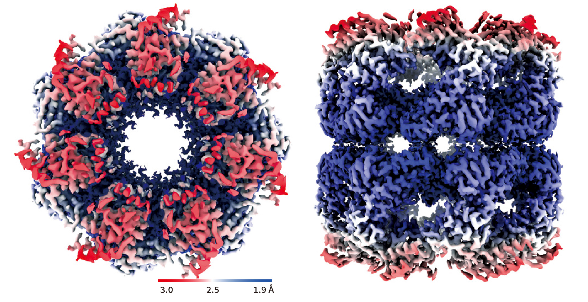 GroEL structure at 1.98 Å resolution achieved by only 504 micrographs