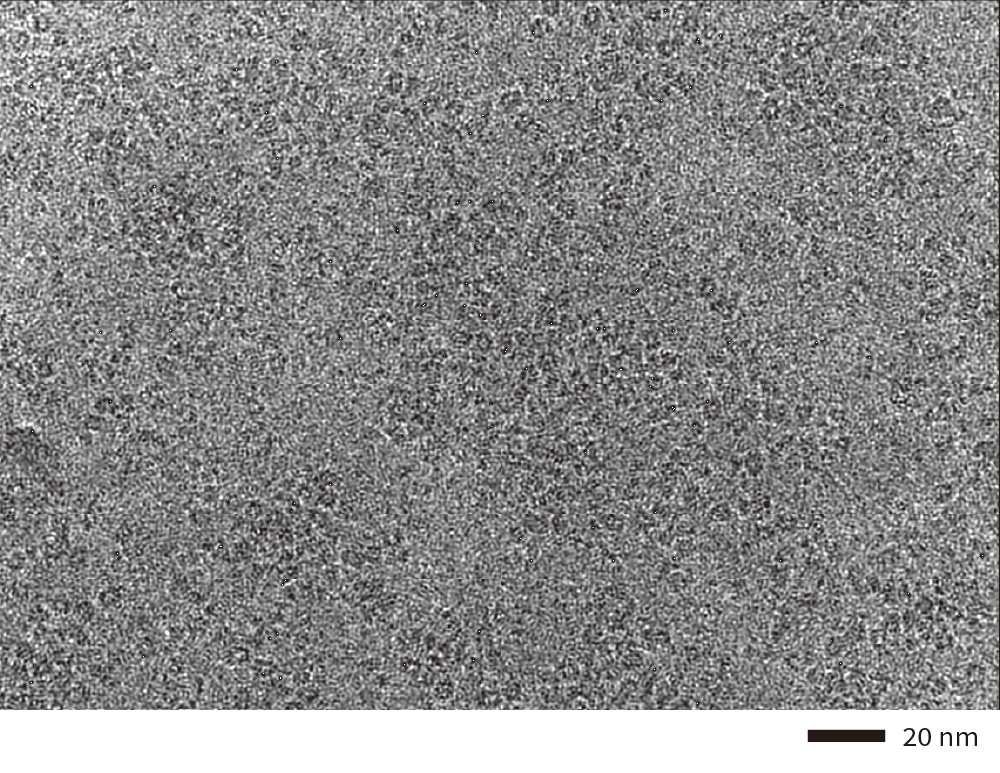 Cryo-electron micrograph of human hemoglobin obtained by high-speed data collection