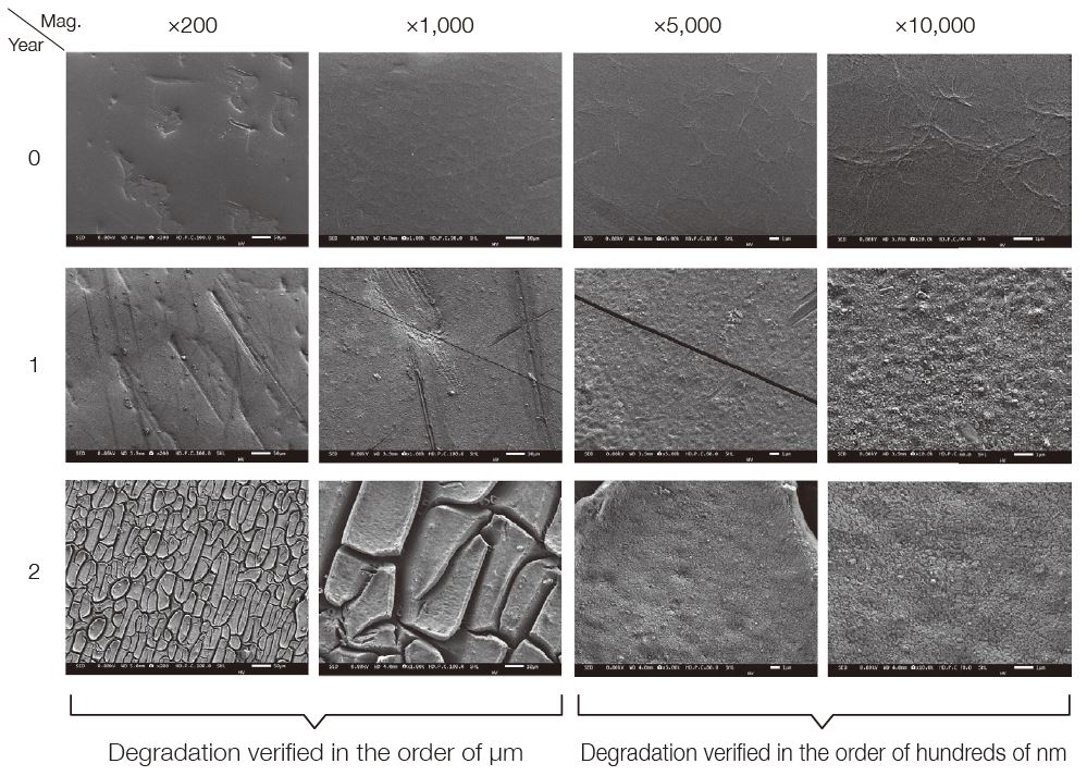 Morphological Observation of PET Surface Using SEM