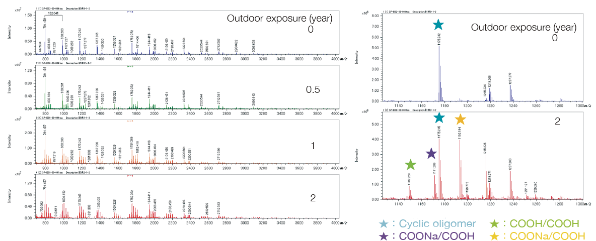 Degradation Analysis by MALDI-TOFMS