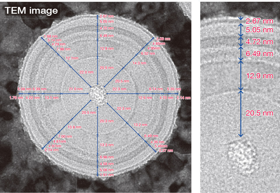 TEM image of a flash memory