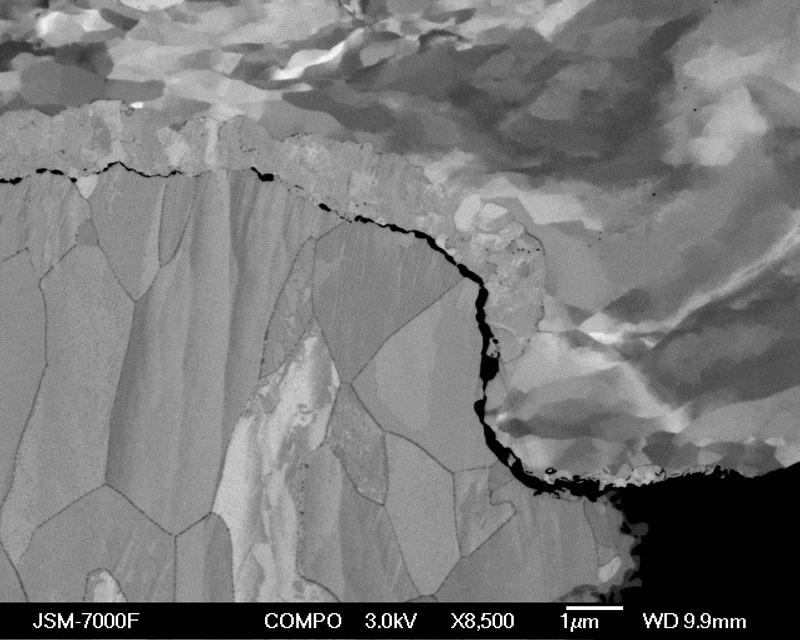 Backscatter electron image of cross section of wire bond