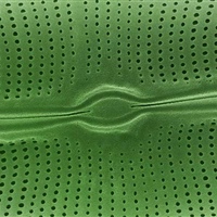 Diatome Detail