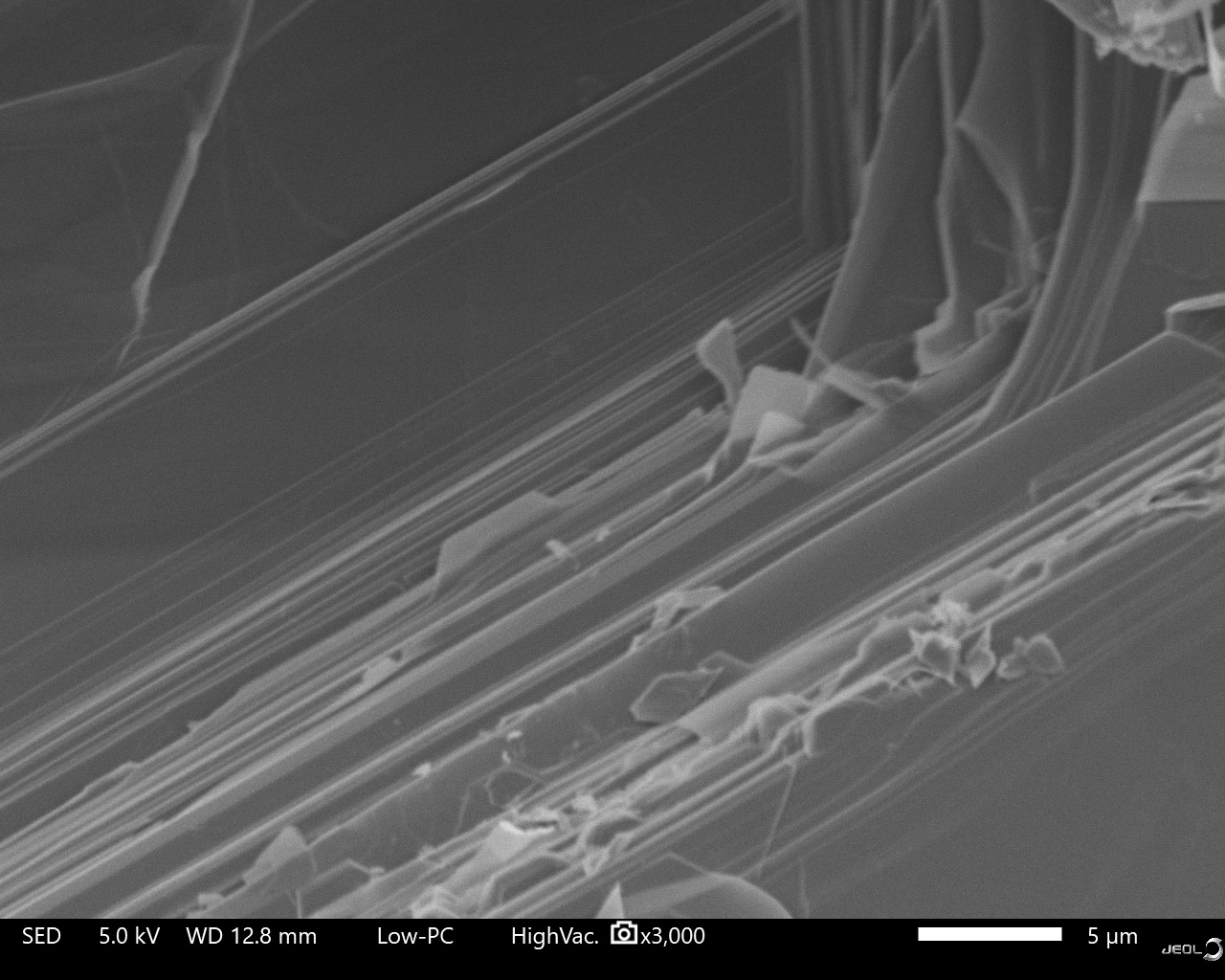 Benchtop SEM | Backscatter Electron Detectors | EDS Analysis