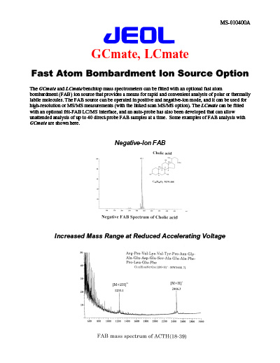Fast Atom Bombardment Ion Source Option