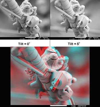 Search for the Third Dimension – Stereomicroscopy 101