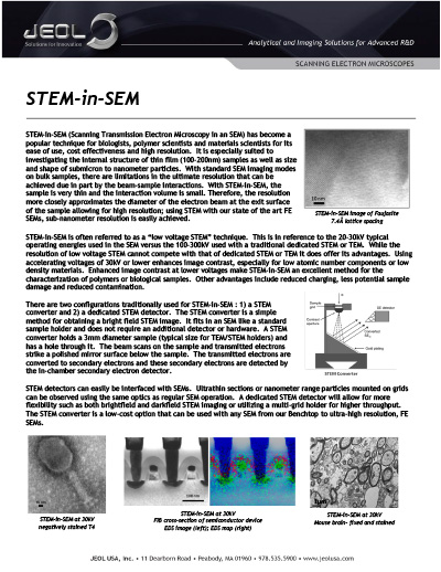 STEM-in-SEM