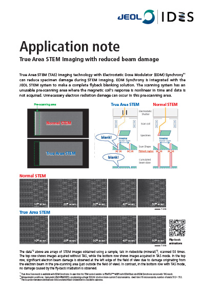 True Area STEM Imaging with reduced beam damage