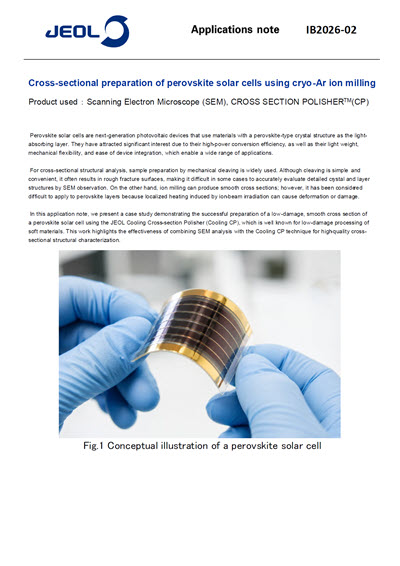 Cross-sectional Preparation of Perovskite Solar Cells using cryo-Ar Ion Milling