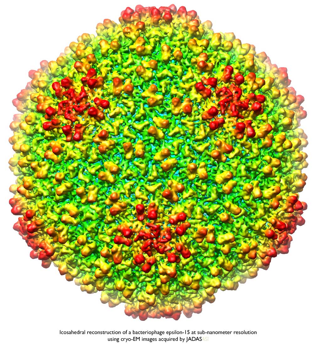 Icosahedral reconstruction of a bacteriophage epsilon-15 at sub-nanometer resolution using cryo-EM images acquired by JADAS