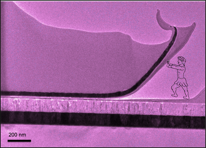 SUBJECT: The image demonstrates the cross-section view of AlScN thin film on Pt/Si substrate; CREDIT: PARIASADAT MUSAVIGHARAVI, University of Pennsylvania; METHOD/INSTRUMENT: JEOL F200 TEM
