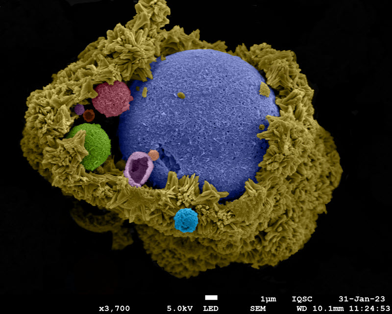 TITLE: Birth of World; SUBJECT: Alumina silicate after reaction with 0.1M sodium hydroxide at reflux for 5 hours; CREDIT: Marcio de Paula, University of São Paulo; METHOD/INSTRUMENT: Colored using photopea software; JEOL JSM-7200F SEM
