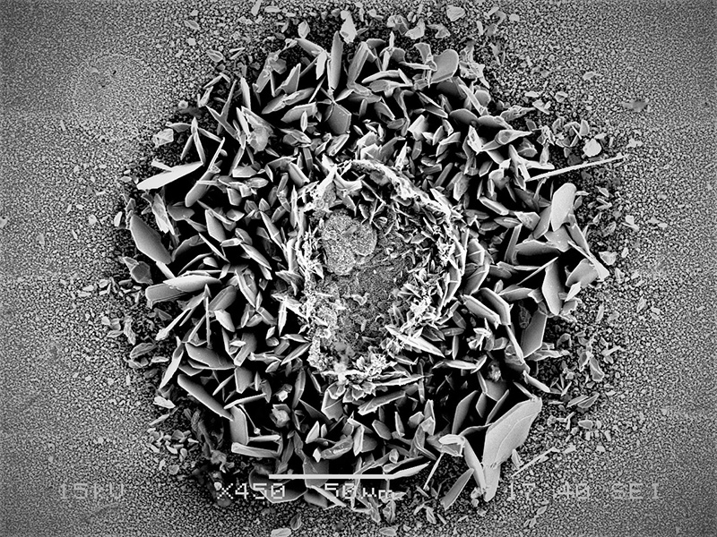 TITLE: Coconut Sprinkle Doughnut with Dusted Powdered Sugar; SUBJECT: Surface anomaly on a silver (Ag) tuning lid; CREDIT: Alfredo Avilla, Honeywell; METHOD/INSTRUMENT: 15kV HV, JEOL SEM JSM-6480LV