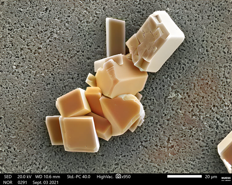 TITLE: Clogging bricks; SUBJECT: Calcium carbonate crystals. Observing their properties is fundamental to understanding and developing scale prevention strategies; CREDIT: Fabio Dossi, ITP; METHOD/INSTRUMENT: JSM-IT200