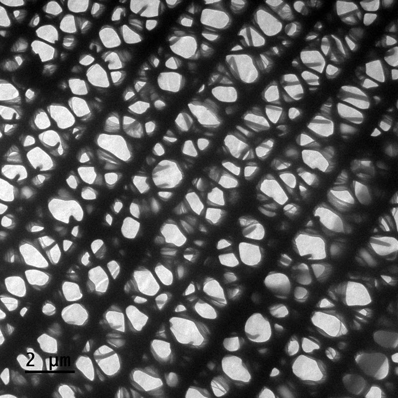 TITLE: Close up of Butterfly Wing Scale.; SUBJECT: TEM image of Butterfly wing scale, stowing beautiful mesh structures.; CREDIT: Ms. Ashvini A Pawar Pawar, Institute of Life Sciences, Bhubaneswar; METHOD/INSTRUMENT: JEM 2100plus TEM