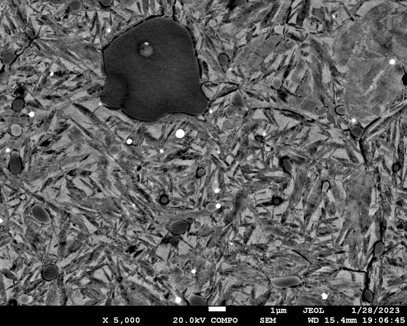 TITLE: “Fish Eutectic Carbide” Subject: "Fish" swimming just at the whole tempered martensitic matrix of the sub-ledeburitic tool steel CREDIT: Alberto López Leyva, Faculty of Materials Science and Technology – STU; METHOD/INSTRUMENT: JEOL JSM 7600 FE SEM