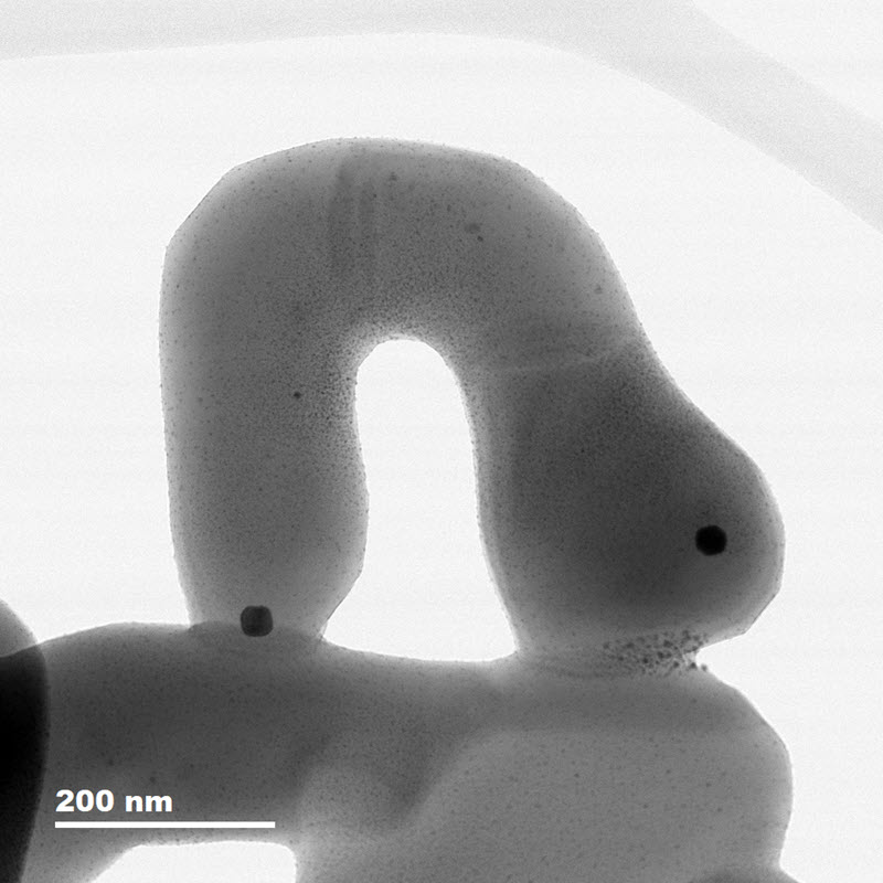 TITLE: It's a worm!! ; SUBJECT: Pt nanoparticles on a perovskite that resembles a worm.; CREDIT: Kelvin Doan, Univeristy of Waterloo; METHOD/INSTRUMENT: JEM-F200 F2