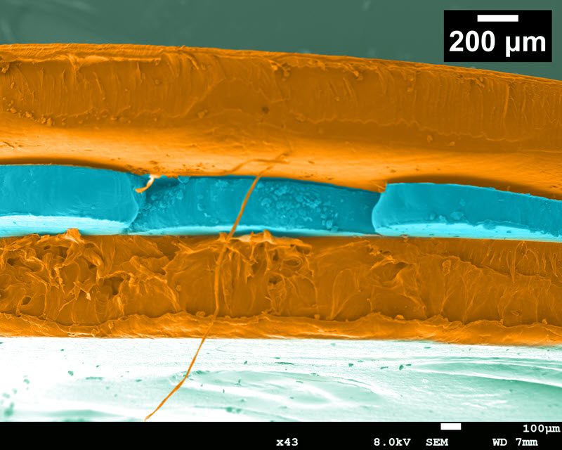 TITLE: Bond Beyond Boundaries; SUBJECT: Microwave welded polypropylene (PP) substrates using a PEEK/graphene nanoplatelet (GNP) nano-formulation interlayer.; CREDIT: Madara Mohoppu Thanthirige, University of Mississippi; METHOD/INSTRUMENT: JEOL SEM