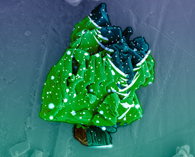 TITLE: MXene Christmas Tree; SUBJECT: A multilayered titanium carbide MXene is visualized as a snow-kissed Christmas tree, which emerges from the selective etching of aluminum layers in the Ti3AlC2 MAX phase. Celebrating the beauty of two-dimensional materials in a holiday tableau. Enjoy the MXene Tannenbaum! Team: Anupma Thakur and Nithin Chandran BS; CREDIT: Anupma Thakur, Purdue University; METHOD/INSTRUMENT: JEOL JSM-7800F