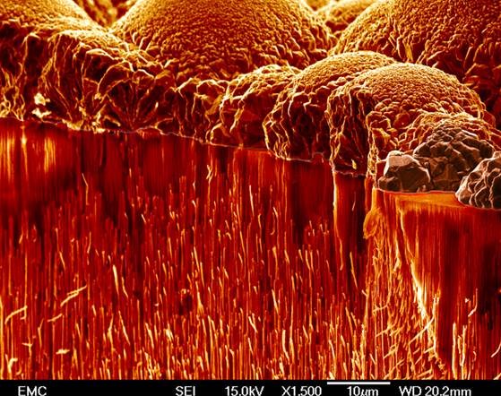 SUBJECT: Electrochemical deposition of copper nanowires into a 200 nm pore size AOO template; CREDIT: Maria de Lourdes Gonzalez-Juarez, University of Southampton; METHOD/INSTRUMENT: SEM JEOL-JSM 6500F