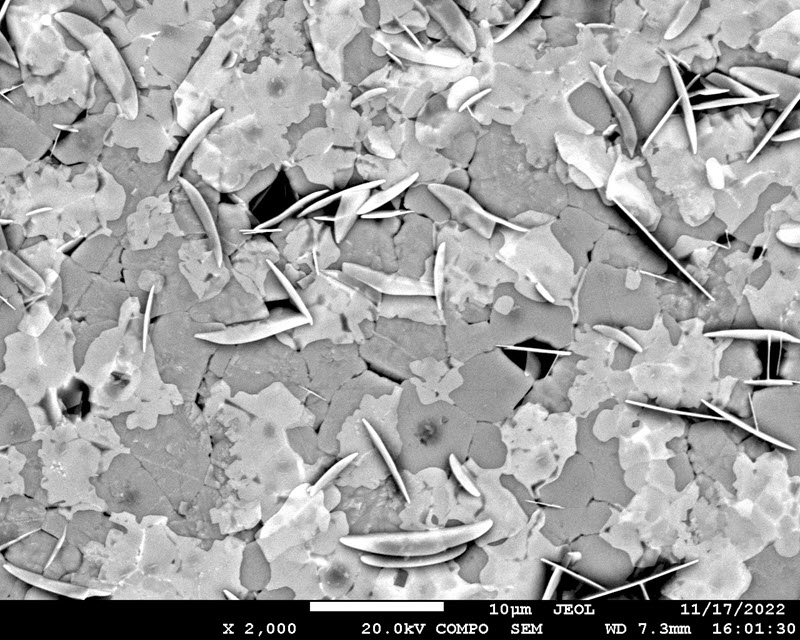 TITLE: Micro autumn; SUBJECT: Over-etched sodium bismuth titanate-based solid solution; CREDIT: Hamed Salimkhani, TU Darmstadt; METHOD/INSTRUMENT: JEOL JSM-7600 FE SEM