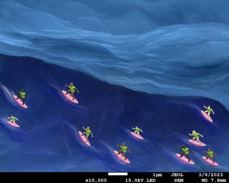 TITLE: Mxene Oceans: Uniting Currents of Diversity; SUBJECT: Ti3C2 Mxene films, a 2D nanomaterial composed of alternating layers of titanium (Ti) and carbon (C) atoms, resembling a wave. Surfers added for fun; CREDIT: Valeriia Poliukhova, Indiana University - Purdue University; METHOD/INSTRUMENT: JEOL JSM-7800f FESEM