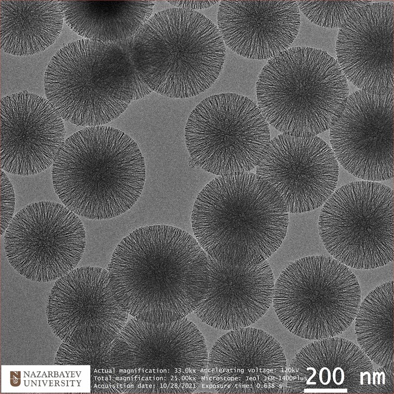 TITLE: Nano-dandelions (flower); SUBJECT: Nano World; CREDIT: Nurgul Daniyeva, Nazarbayev University, Kazakhstan; METHOD/INSTRUMENT: JEM1400 Plus TEM