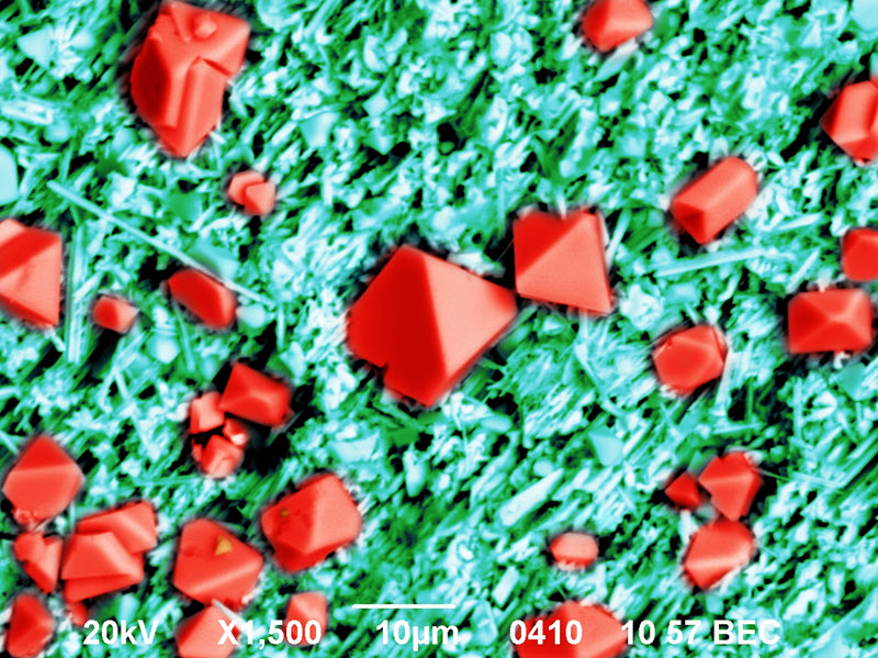 TITLE: Rubies; SUBJECT: GaAs nanocrystalline surface obtained by electrochemical etching; CREDIT: Sergey Simchenko, State University of Telecommunications; METHOD/INSTRUMENT: JSM-6490