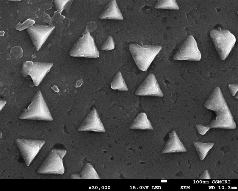 TITLE: Indian Samosa (triangular pastry); SUBJECT: Surface morphology of Ag electrodeposited polymer composite electrode; CREDIT: Sunil Luhar Jayesh Choudhary, CSIR – Central Salt and Marine Chemicals Research Institute (CSMCRI) Bhavnagar Gujarat,India; METHOD/INSTRUMENT: JEOL FE-SEM 7100F