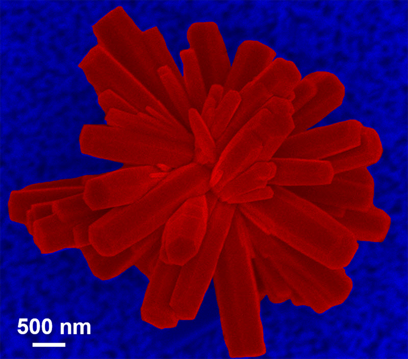 Subject: Zinc oxide rods are used as sensors that detect changes in electrical current passing through the rods due to adsorption of gas molecules.; Credit: Haiqing Yao - Texas A&M University; Method/Instrument: Hydrothermal method/JEOL SEM