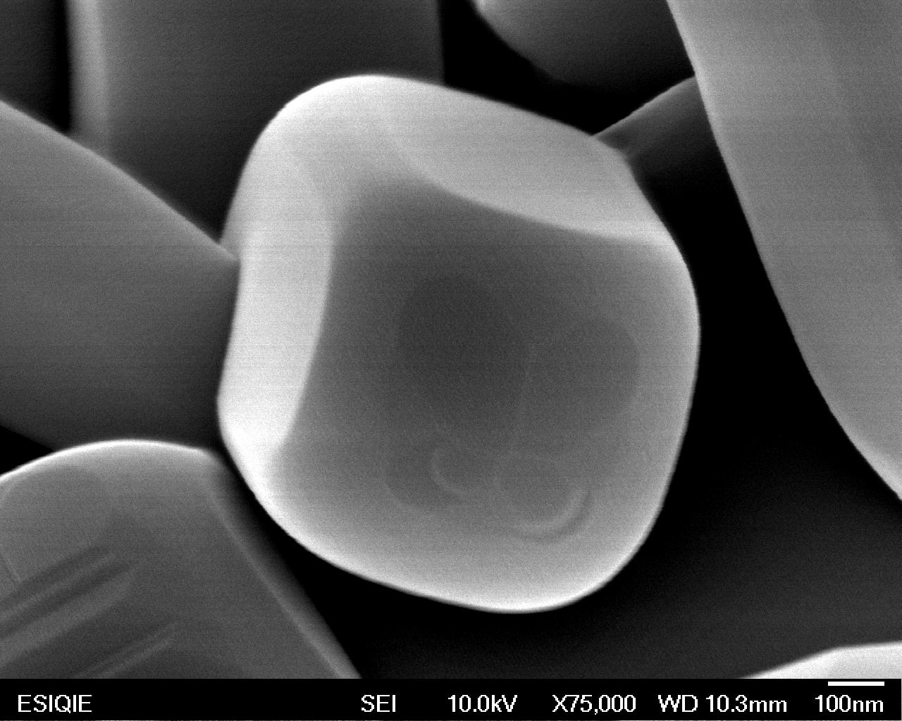 Tio2 Cubic Cell SEM/TEM/EPMA | Image Contest Grand Prize Winners | 2024