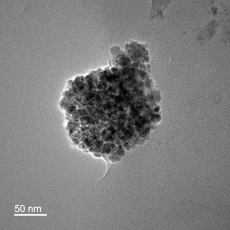 TITLE: Size-controlled aggregation of iron oxide nanocolloids; SUBJECT: Iron oxide nanocolloid aggregates (TEM); CREDIT: Ali Sayyah, Virginia Tech; METHOD/INSTRUMENT: JEOL JEM 2100