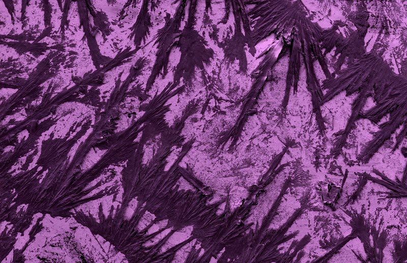 TITLE: Snowy Winter Night; SUBJECT: TiB2 nanosheet film that transformed into dendritic form due to applied electrochemical potential. during study of catalytic activities of new class of boron-based nanosheets; CREDIT: Anshul Rasyotra, Indian Institute of Technology, Gandhinagar; METHOD/INSTRUMENT: JEOL JSM-7600F FE SEM.