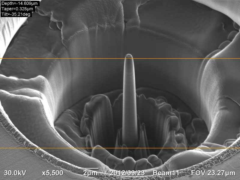 SUBJECT: 800nm pillar milled out of an AlBNNT sample in 6 different milling stages. Sample was fabricated for nanomechanical testing in a Hysitron nanoindenter.; CREDIT: Ali Hadjikhani - AMERI; METHOD/INSTRUMENT: FIB milling/ SEM microscopy JEOL JIB 4500