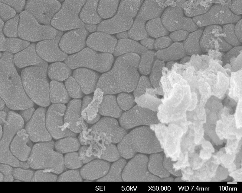 SUBJECT: Selective dissolution of magnesium phase in a ceramic coating formed on Mg alloys; CREDIT: Anawati, Universitas