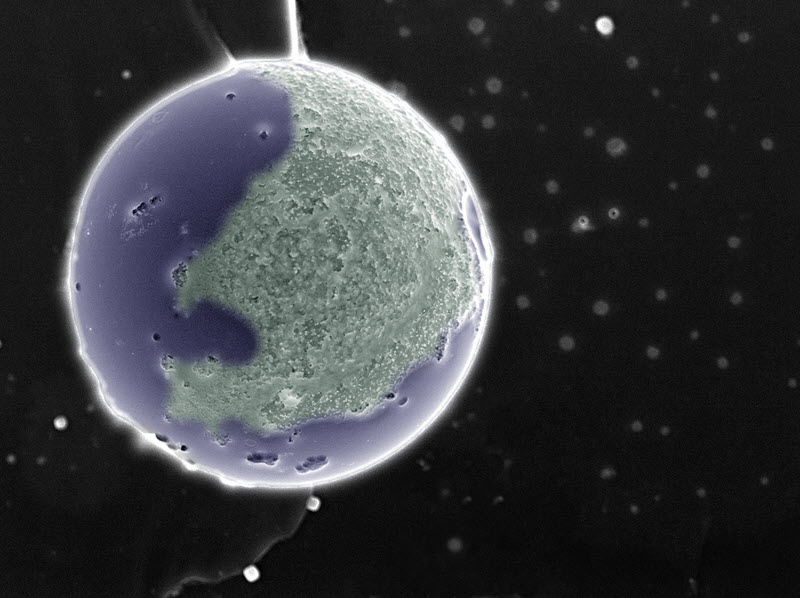 TITLE: Another Earth; SUBJECT: A pore in bioglass; CREDIT: Nina Daneu, Jožef Stefan Institute, Ljubljana, Slovenia; METHOD/INSTRUMENT: JSM-7600F