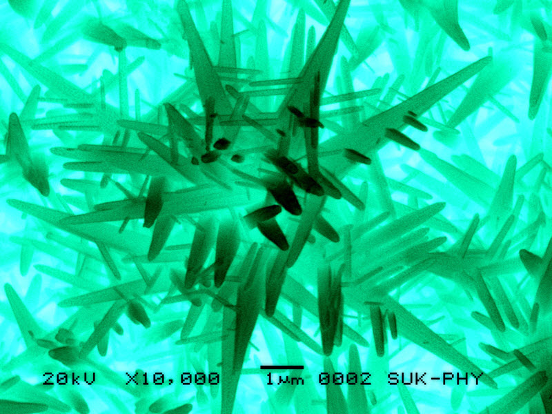 SUBJECT: Cactii-like nanostructures - branches emanated from a single nucleation center; CREDIT: Tejasvinee Bhat, Thin Film Materials Laboratory, Department of Physics, Shivaji University, Kolhapur, Maharashtra, India; METHOD/INSTRUMENT: JEOL SEM