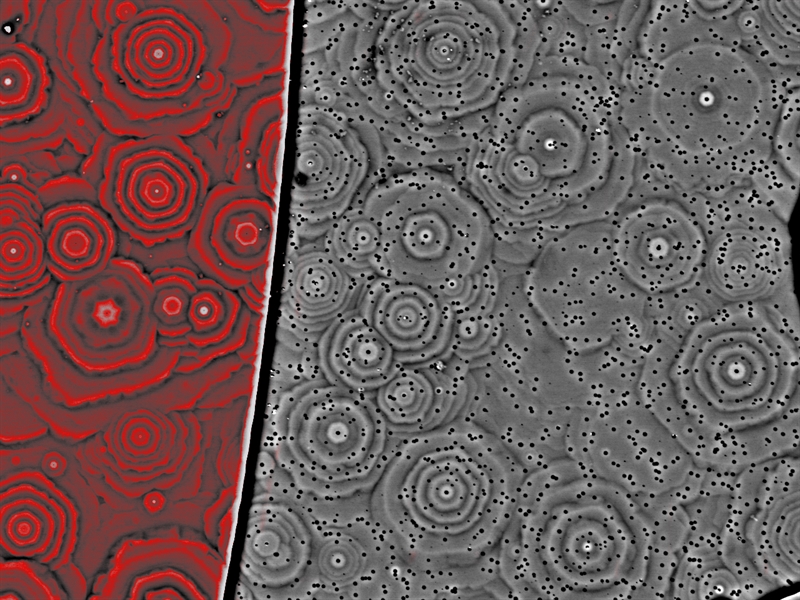 SUBJECT: BSE image; surface morphology of n-doped GaN showing v-pits, hillock features,  p-i-n diode; CREDIT: Catherine Brasser, University of Strathclyde; METHOD/INSTRUMENT: JXA-8530F EPMA