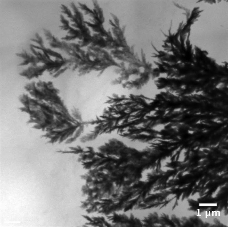 CREDIT: Boopathy Kombaiah, Carnegie Mellon University; METHOD/INSTRUMENT: JEOL 2000EX TEM, Bright field imaging. This image was caught in a Si TEM sample that was synthesized using back-etching method; the scale bar at the bottom measures one micron.