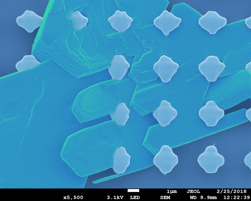SUBJECT: A single crystal of tetracene, grown on an Indium-Tin-Oxide coated glass slide using a vapor-liquid-solid deposition technique. A grid pattern of SU-8 photoresist pillars was created on the glass slide prior to crystal growth; CREDIT: Griffin Reed, Western Washington University / Midwestern University; METHOD/INSTRUMENT: JEOL JSM-7200F Field Emission SEM